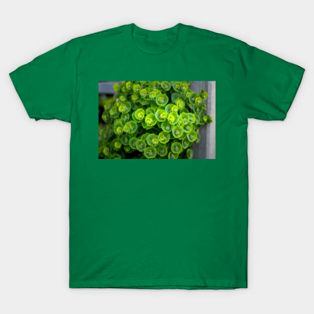 green plant and flowers T-Shirt by rickylabellevie